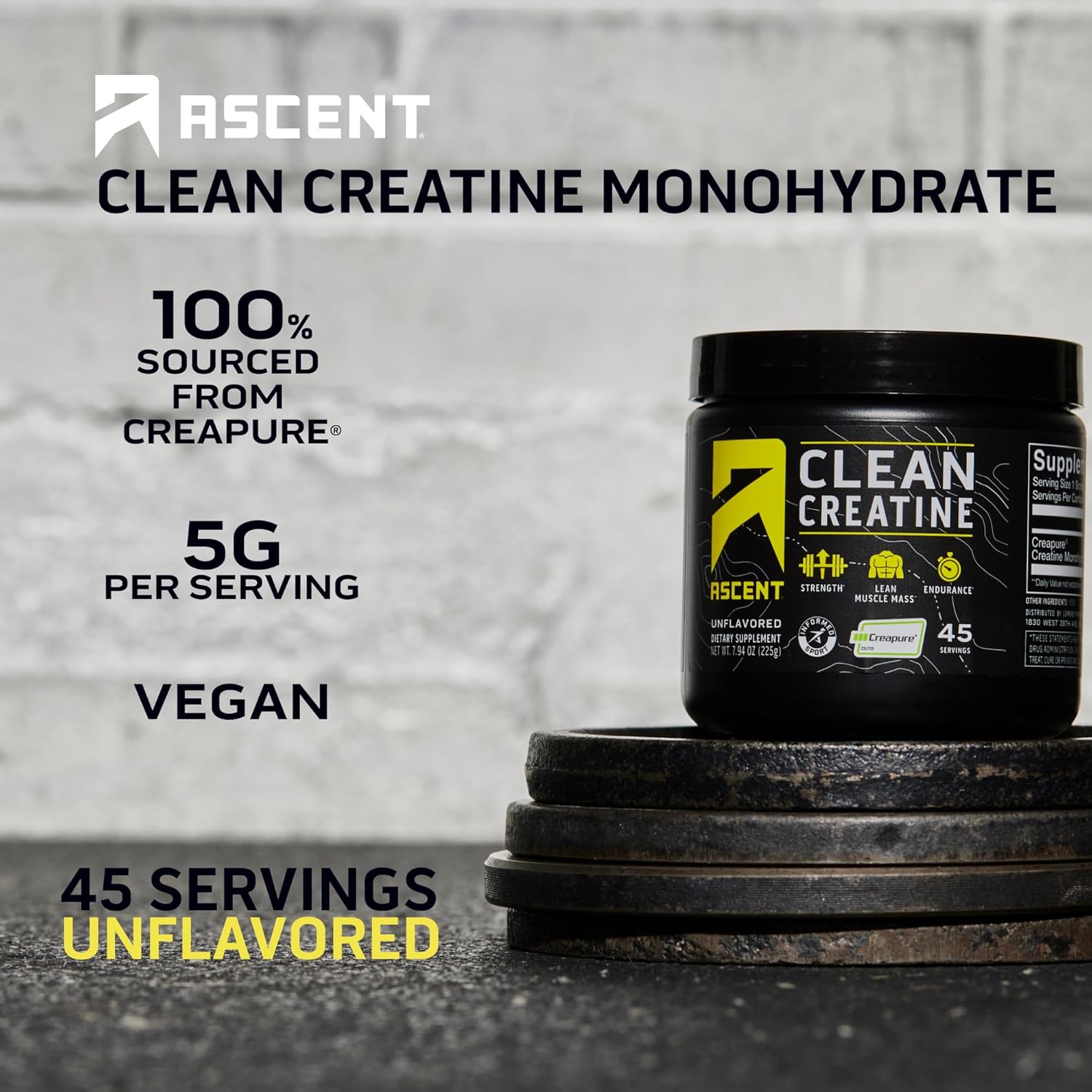 100% Whey Protein Powder in Chocolate Peanut Butter Flavor & Creatine Monohydrate Powder with 45 Servings - 2 lb & Unflavored