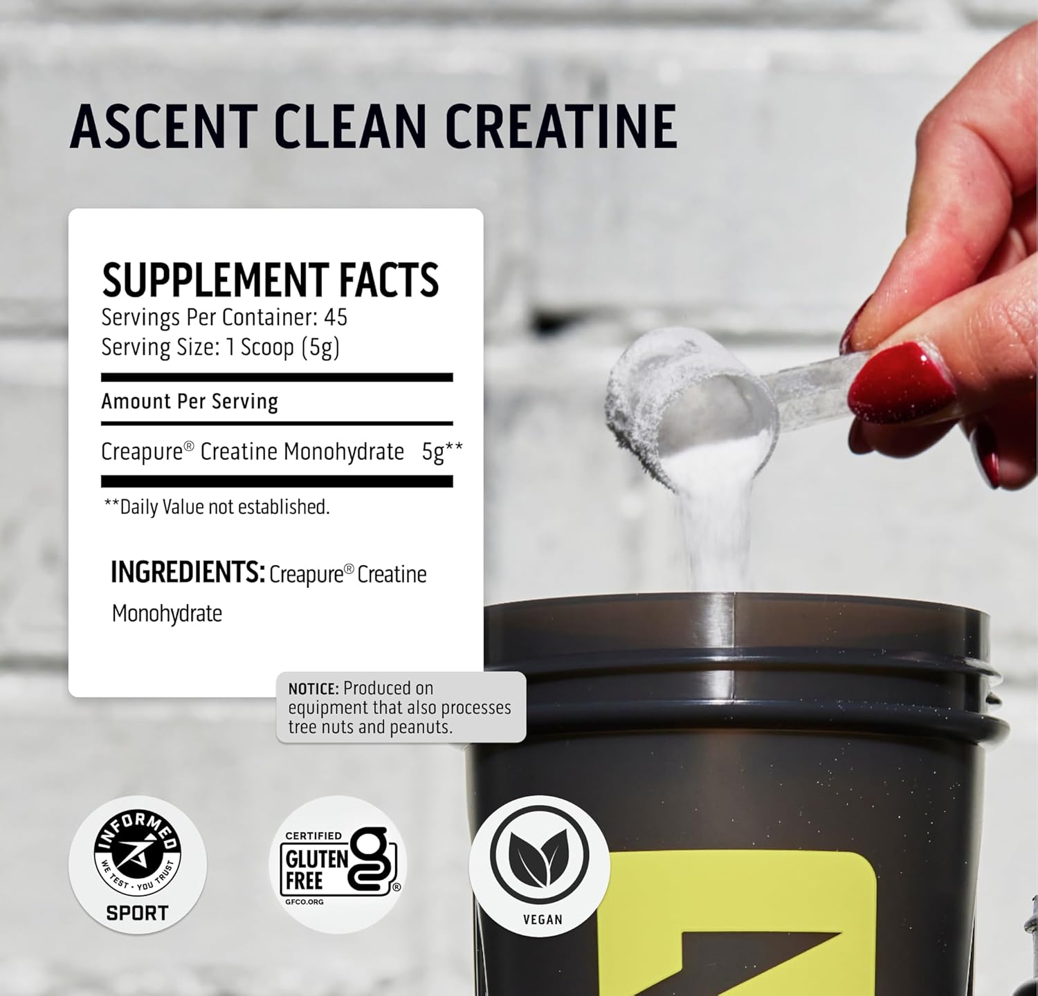 100% Whey Protein Powder in Chocolate Peanut Butter Flavor & Creatine Monohydrate Powder with 45 Servings - 2 lb & Unflavored