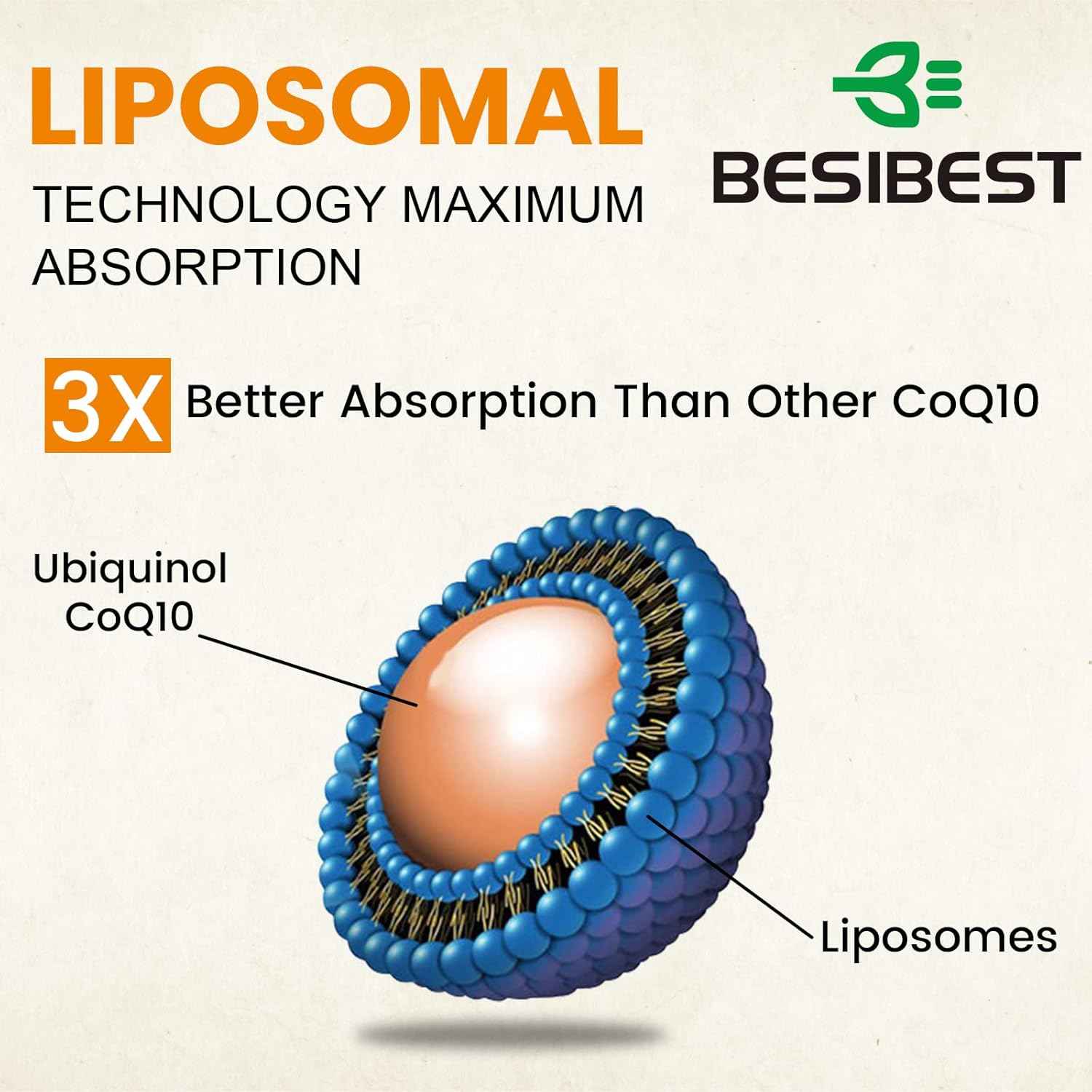 1000mg Liposomal CoQ10 Ubiquinol, 60 Vegan Softgels, High Absorption Ubiquinol CoQ10 Supplement, Active Antioxidant Form of Coenzyme Q10 for Heart Health & Energy Production