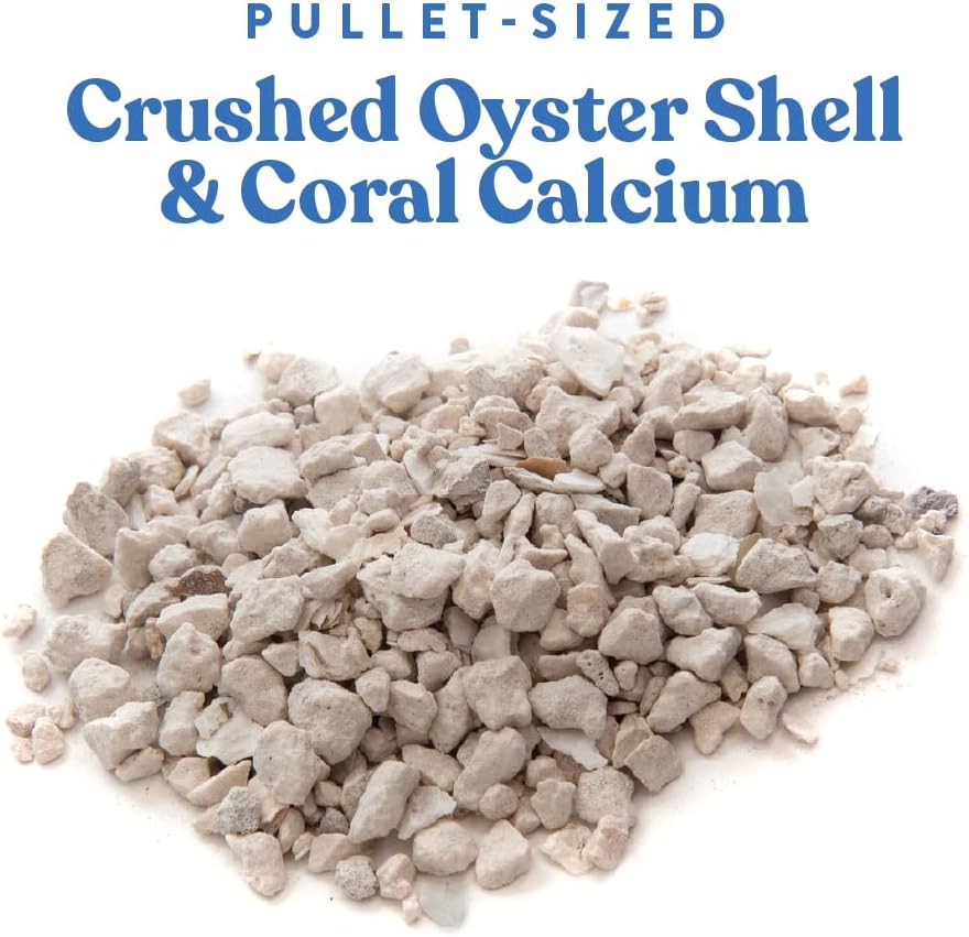 10.5 lbs Diatomaceous Earth & 5 lbs Oyster Shell Calcium Supplement for Chickens by EASYGO PRODUCTS