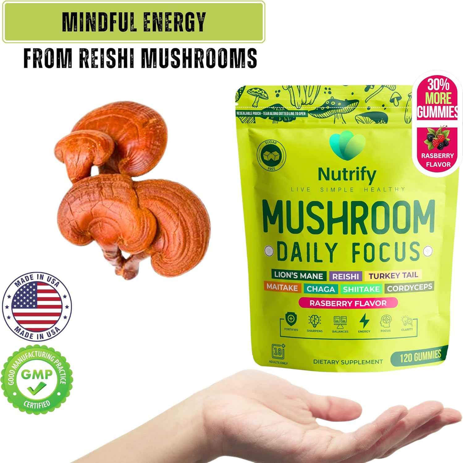 120 Mushroom Gummies Immune Support & Brain Performance Resilience & Memory Boost with Reishi, Cordyceps, Turkey Tail, Maitake, Shiitake & Chaga Delicious Raspberry Flavor Vegan & Sugar Free