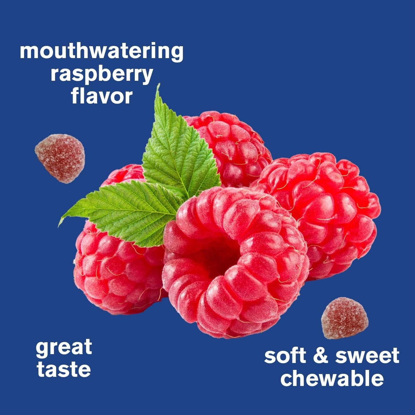 150mg Phosphatidylserine Gummies for Cognitive Support - Raspberry Flavor - Gluten Free - Non GMO - 60 Count