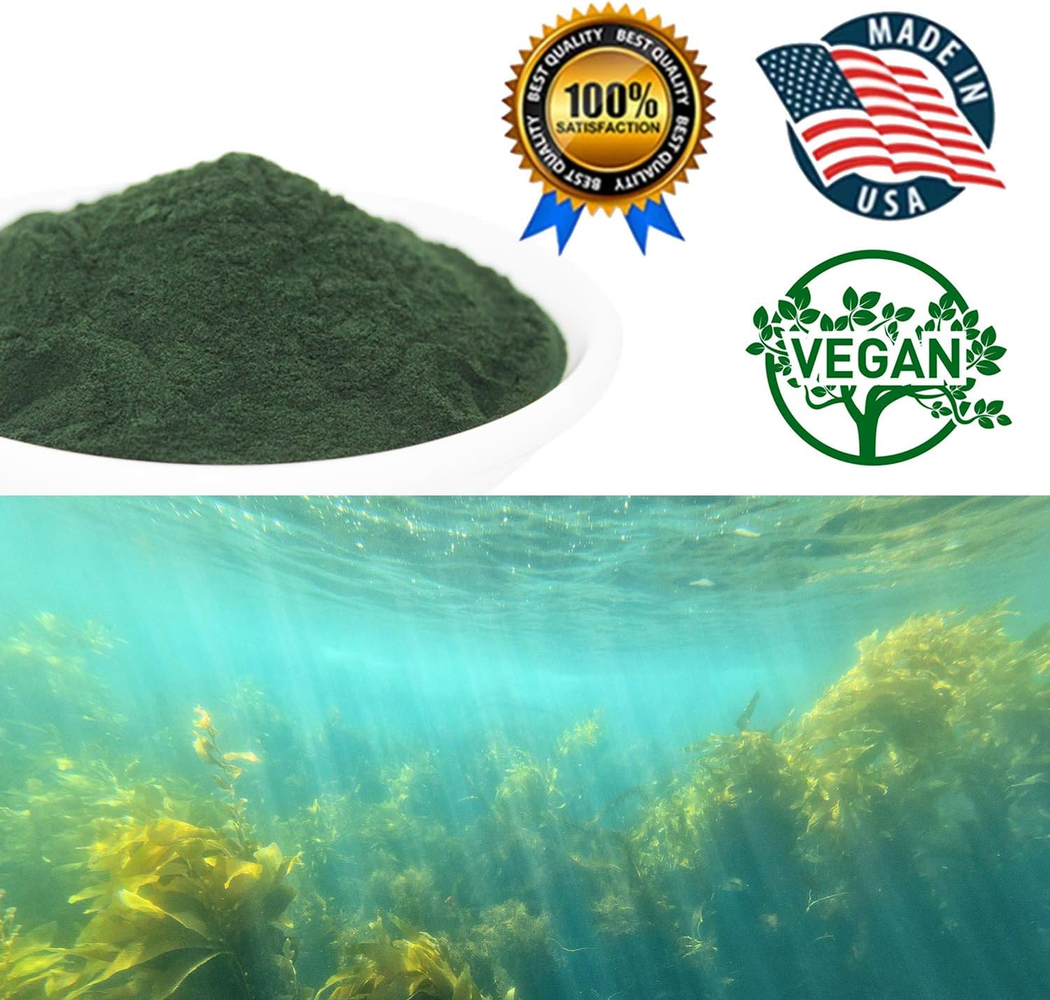 16oz DABC OAK LAND DOL Spirulina Powder - 100% Vegetarian Fitness Food, Plant-Based Protein Substitute