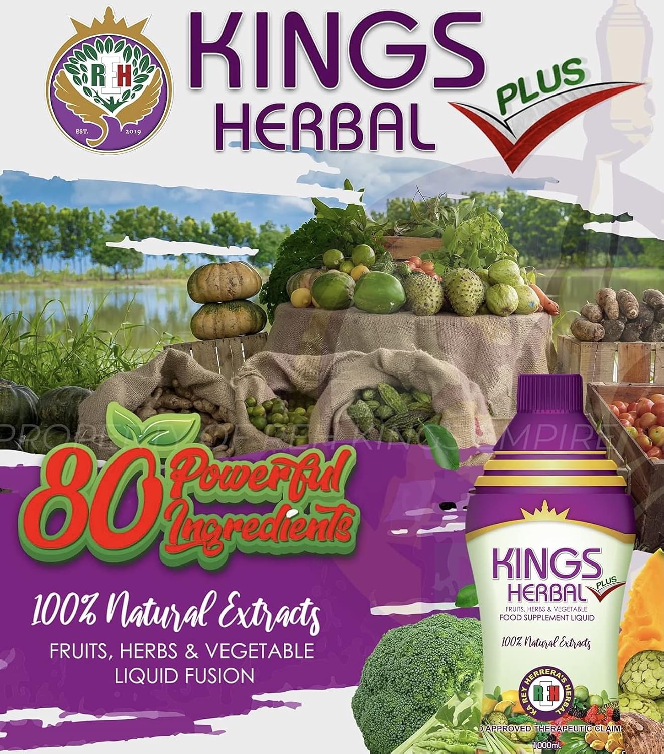 2 Bottles of KINGS Herbal Plus 1000ml Food Supplement with Fruit, Herb, and Vegetable Blend