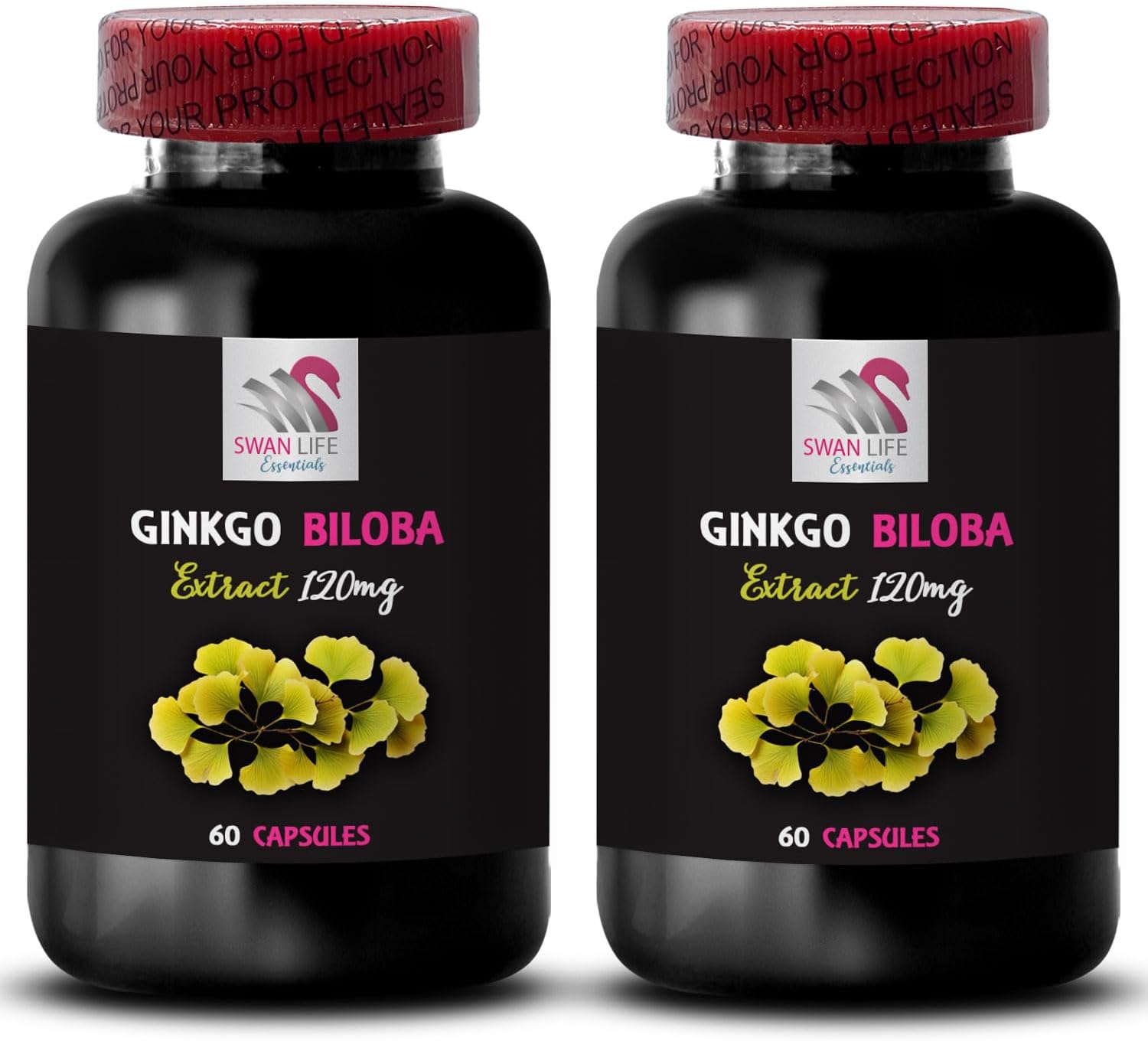 2 Bottles of SWAN LIFE ESSENTIALS Ginkgo Biloba Extract Capsules - Herbal Antioxidant Supplement for Daily Wellness Boost