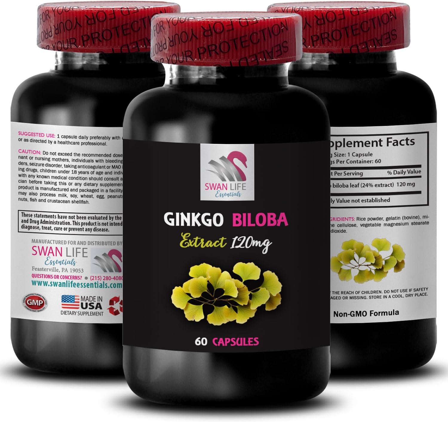 2 Bottles of SWAN LIFE ESSENTIALS Ginkgo Biloba Extract Capsules - Herbal Antioxidant Supplement for Daily Wellness Boost