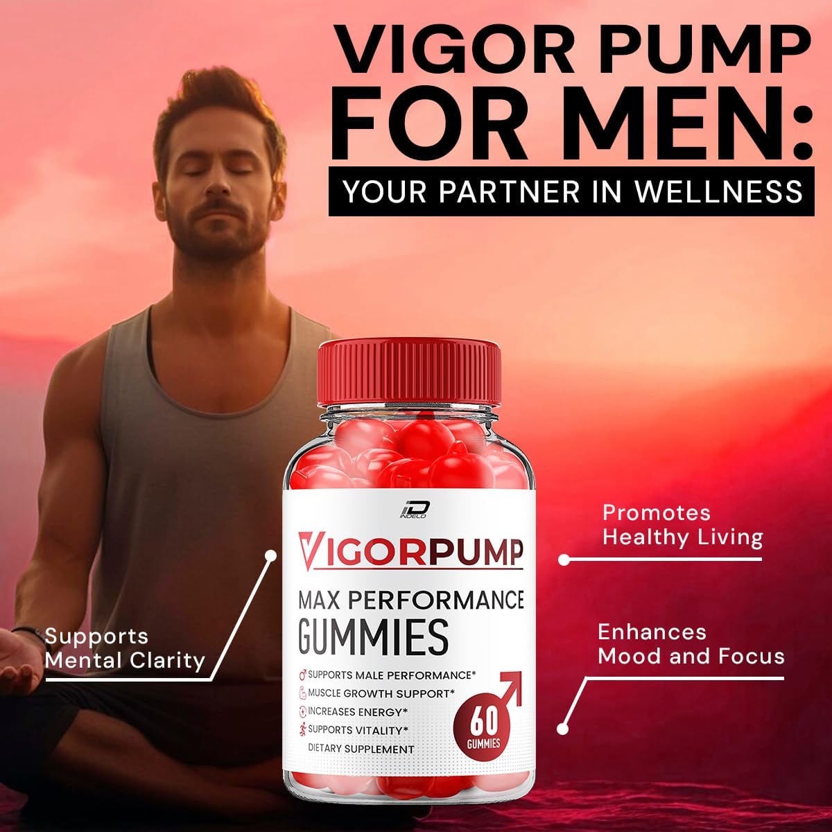 2 Pack - Indelo VigorPump Male Gummies - All-Natural Supplement for Men - Pump Vigor Gummies with Reviews - 120 Gummies