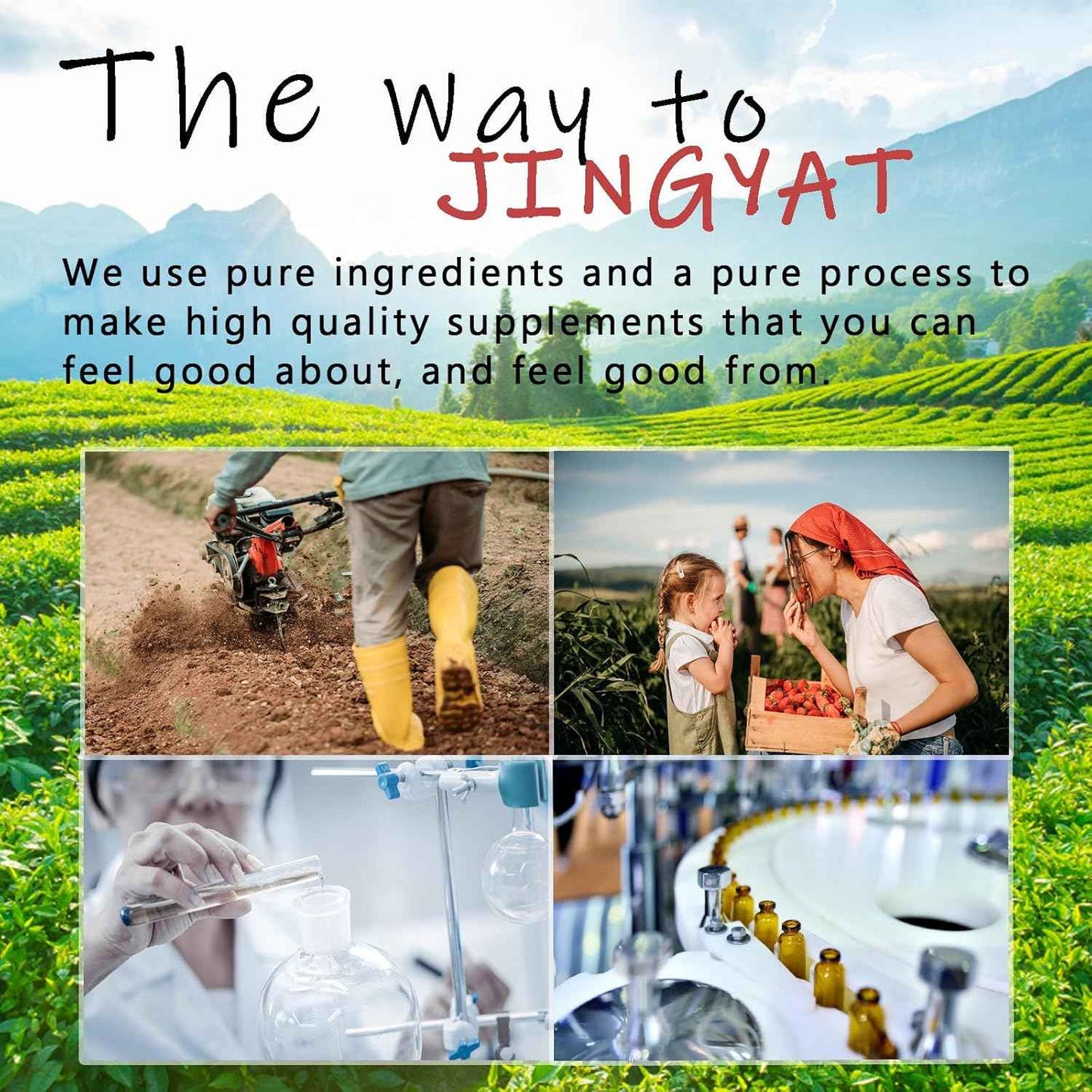 (2 Pack) Cortisol Supplement Magnesium Gummies 1000mg for Men & Women, Magnesium Complex Supplement w/Glycinate 500mg, Malate 500mg, Vitamins D3, Zinc - Vegan & Natural