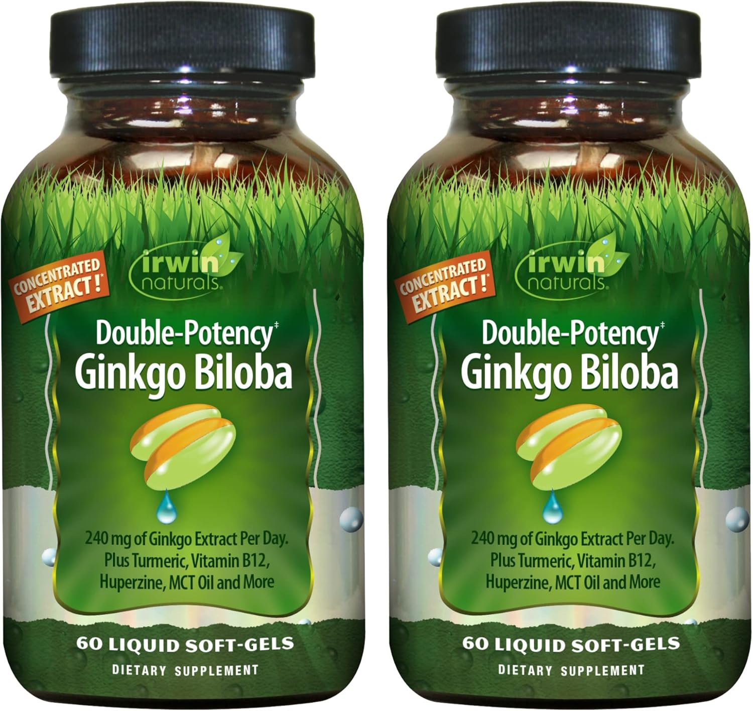 2-Pack Irwin Naturals Ginkgo Biloba Liquid Soft-Gels - Double Potency for Brain Health - 30 Servings