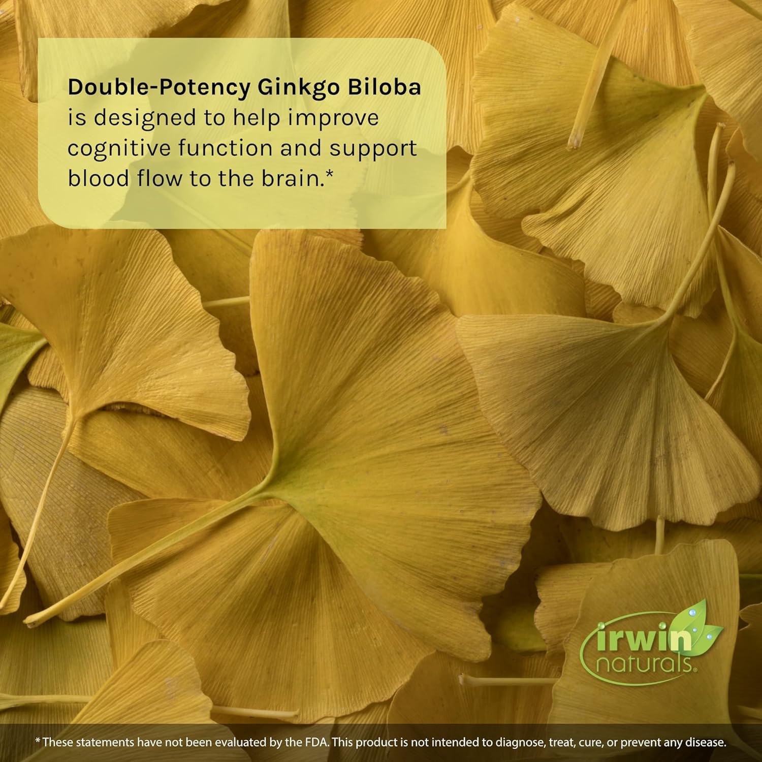 2-Pack Irwin Naturals Ginkgo Biloba Liquid Soft-Gels - Double Potency for Brain Health - 30 Servings