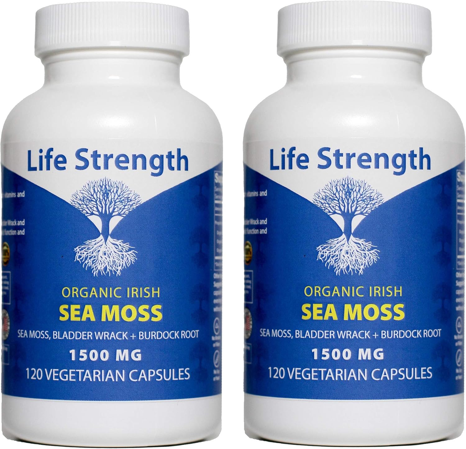2-Pack LifeStrength Sea Moss Capsules - Wildcrafted Superfood Blend for Immune, Joint, Gut Health & Thyroid Support - 240 Vegetarian Capsules