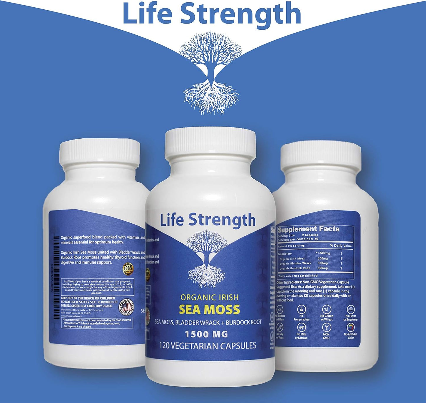 2-Pack LifeStrength Sea Moss Capsules - Wildcrafted Superfood Blend for Immune, Joint, Gut Health & Thyroid Support - 240 Vegetarian Capsules