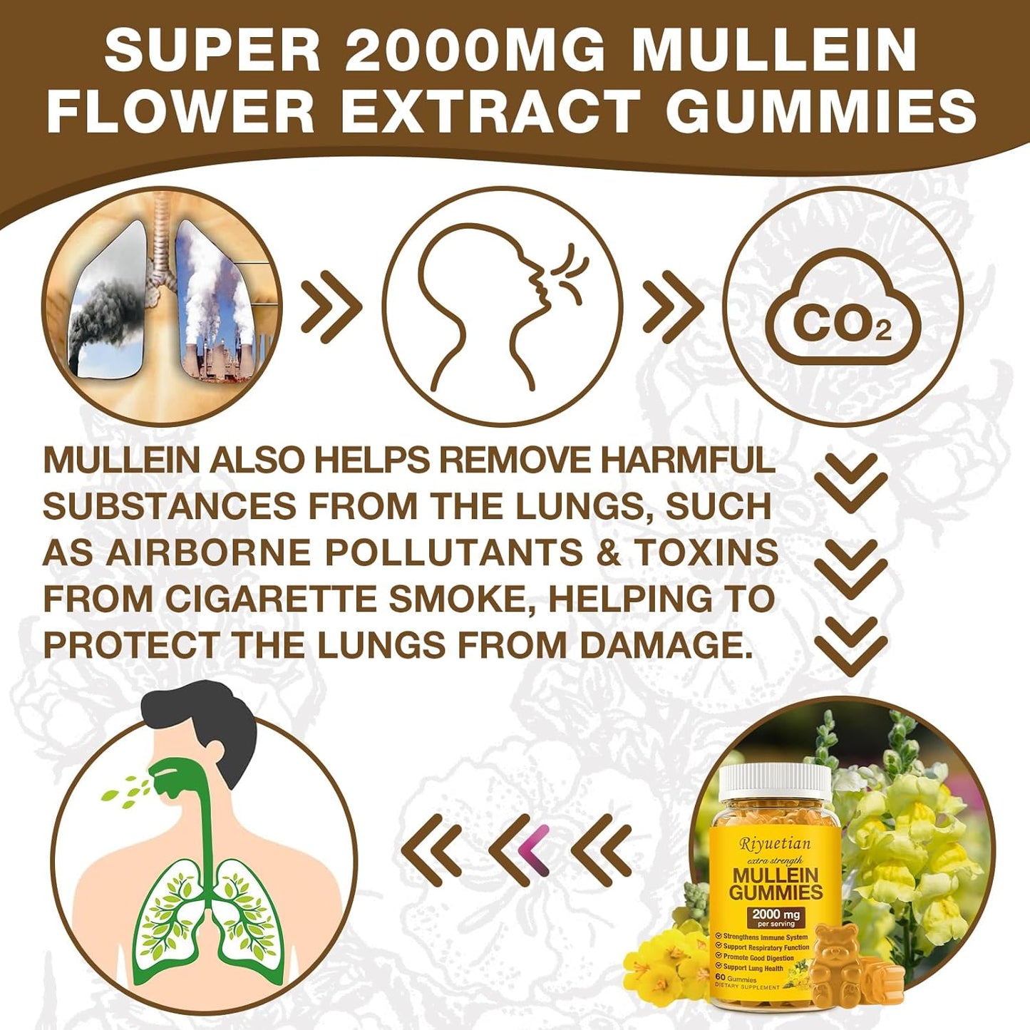 2000mg Mullein Leaf Extract Gummies for Respiratory & Digestive Health - Allergy Friendly, Vegan & Non-GMO - 60 Gummies Supplement