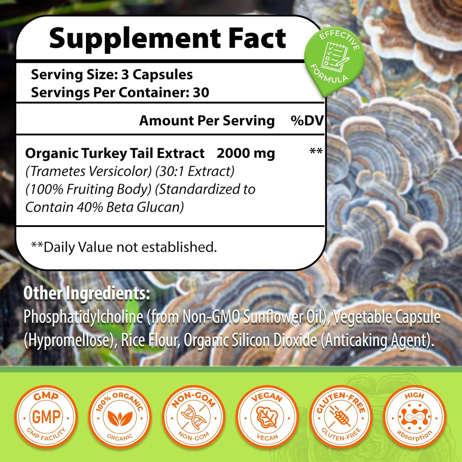 2000MG Turkey Tail Mushroom Capsules for Digestive Health & Immune Support - High Absorption Supplement for Gut Microbiome, Energy & Brain Health - 3 Pack