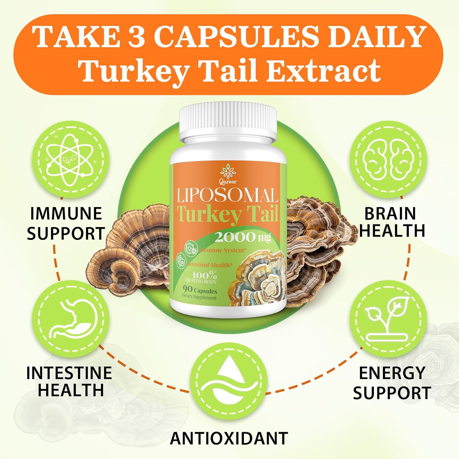2000MG Turkey Tail Mushroom Capsules for Digestive Health & Immune Support - High Absorption Supplement for Gut Microbiome, Energy & Brain Health - 3 Pack