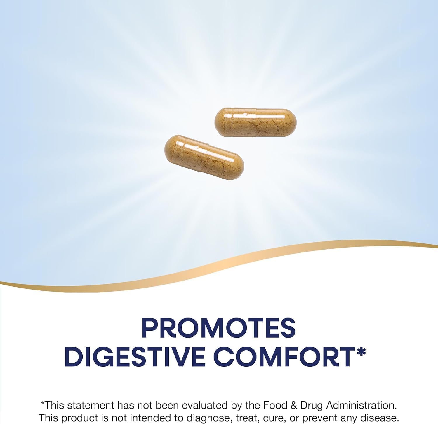 240 Capsules of Natrue Mad Ginger Root for Digestive Comfort - Compatible with Nature's Way