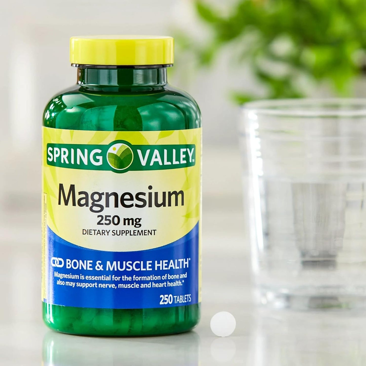 250 Count Magnesium Tablets Dietary Supplement - 250 mg Formula