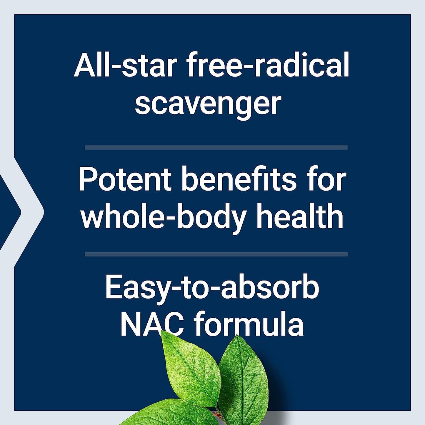 250 Tablets Life Extension Vitamin C & Quercetin with N-Acetyl Cysteine - Immune Support and Antioxidant Bundle