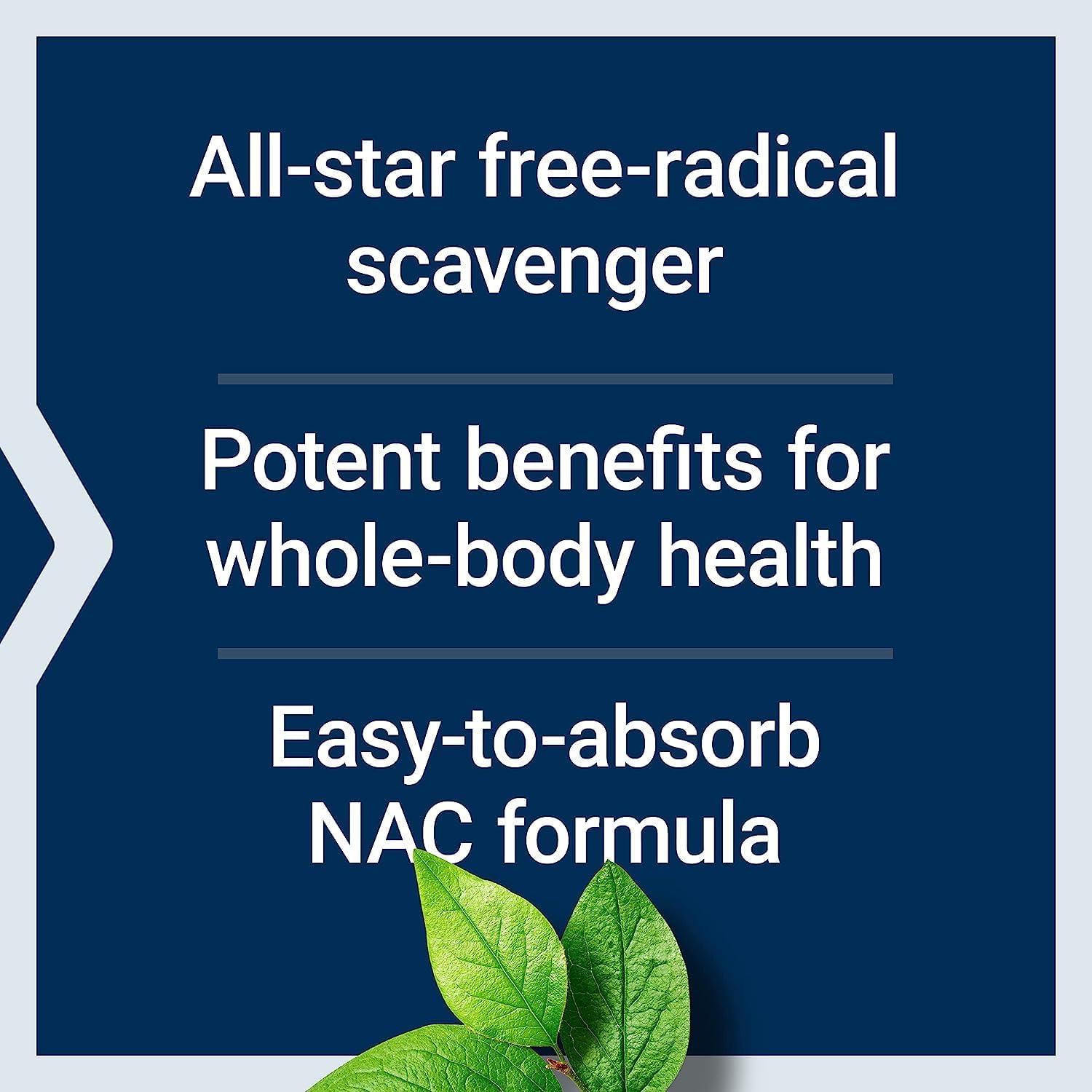 250 Tablets Life Extension Vitamin C & Quercetin with N-Acetyl Cysteine - Immune Support and Antioxidant Bundle