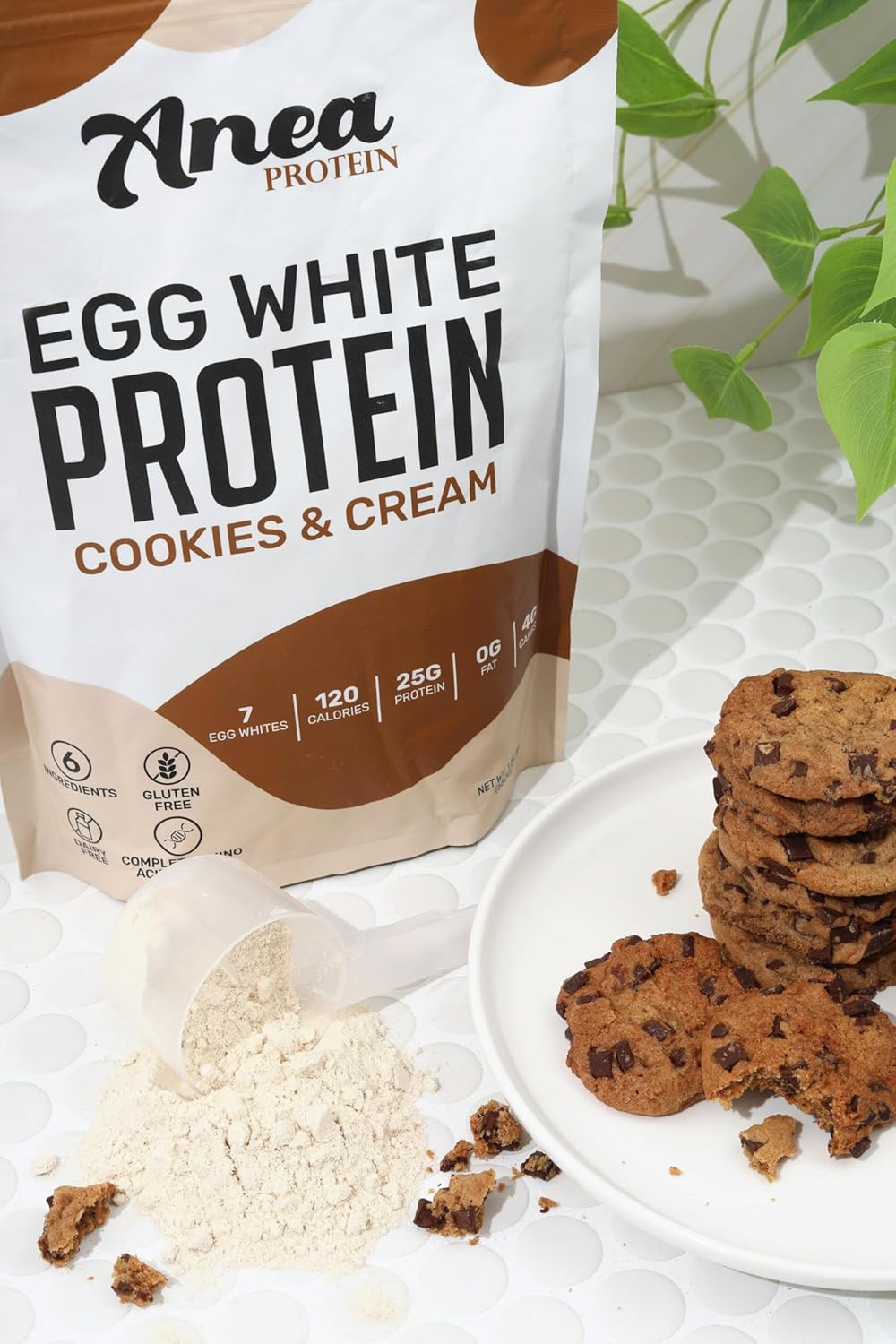 25g Anea Egg White Protein Powder - Dairy, Gluten, and Fat Free - Cookies & Cream Flavor - High Biological Value - 1.5lb Pack