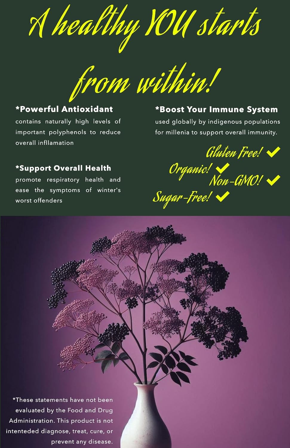 2oz Organic Non-GMO Elderberry Tincture from Gaia Farms - Winter Immune Support