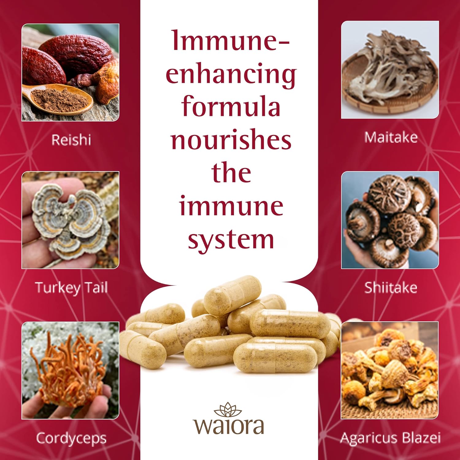 3 Bottles of Waiora MegaDefense Mushroom Capsules - Daily Wellness Supplement with Reishi, Turkey Tail, Cordyceps, Maitake, Agaricus & Shiitake - Non-GMO (60 Veggie Caps)