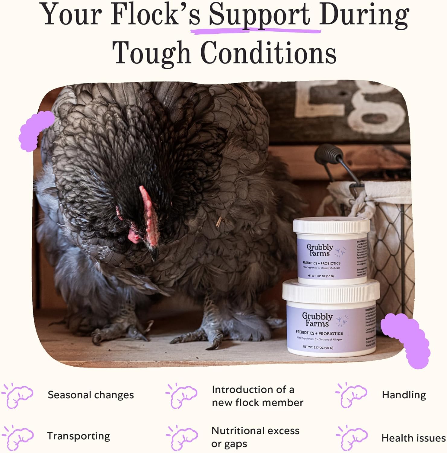 30-Day Supply of Grubbly Farms Prebiotics and Probiotics for Chickens
