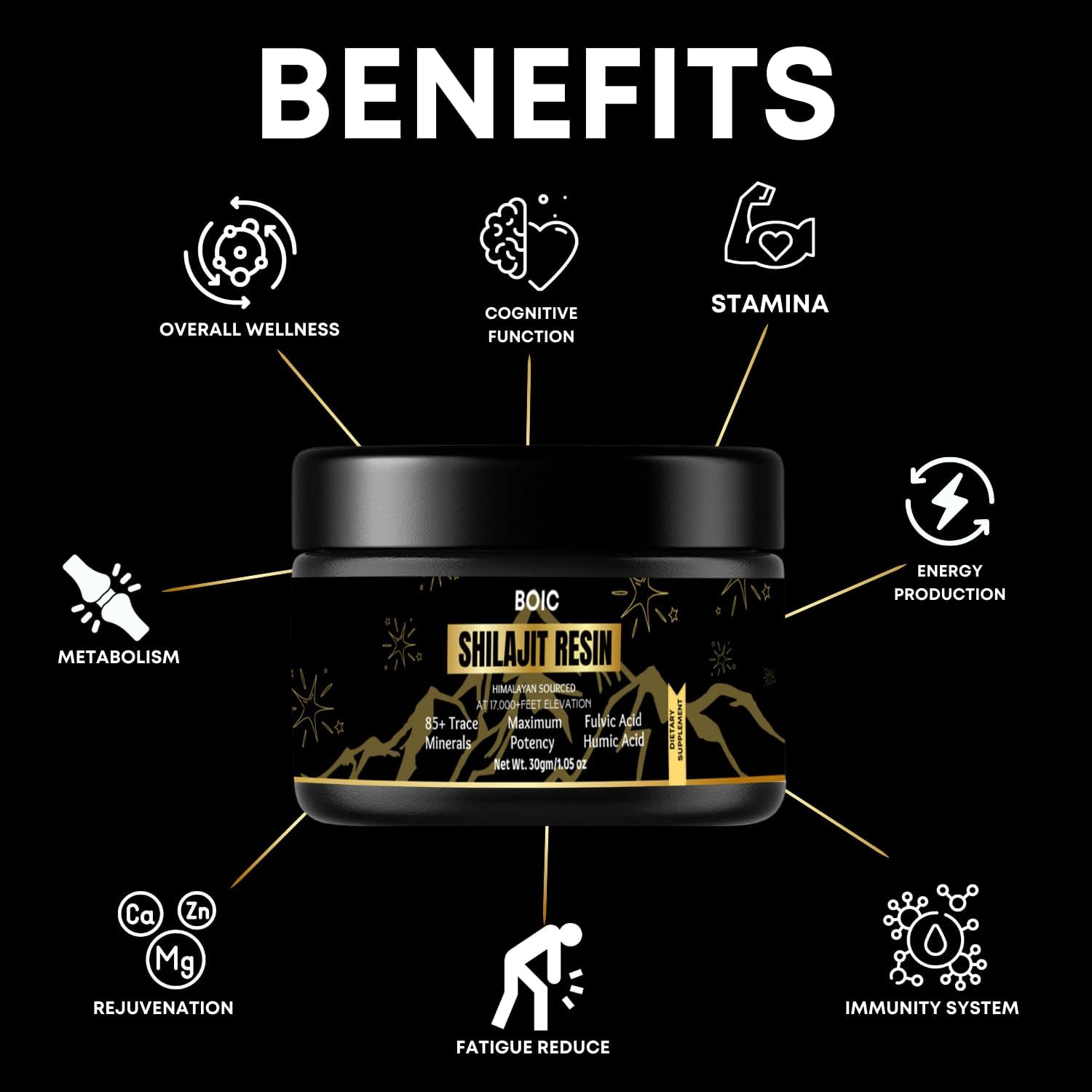 30Gm BOIC Pure Black Himalayan Shilajit Resin for Energy and Immune Support - 60 Day Supply for Men and Women