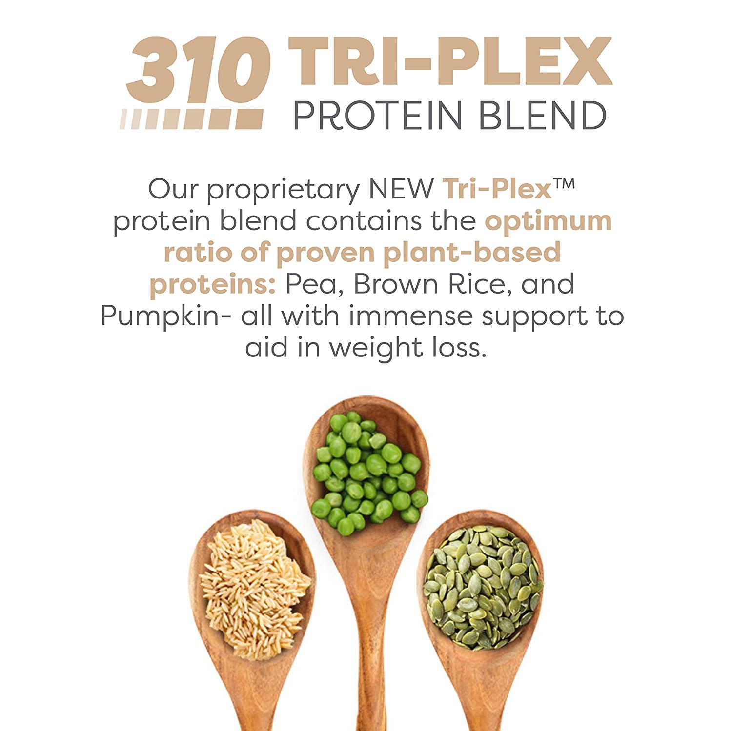 310 Nutrition All-In-One Meal Replacement Shake - New Formula with Vegan Superfood Blend, Low Carb & Keto Friendly - Triple Flavor Pack