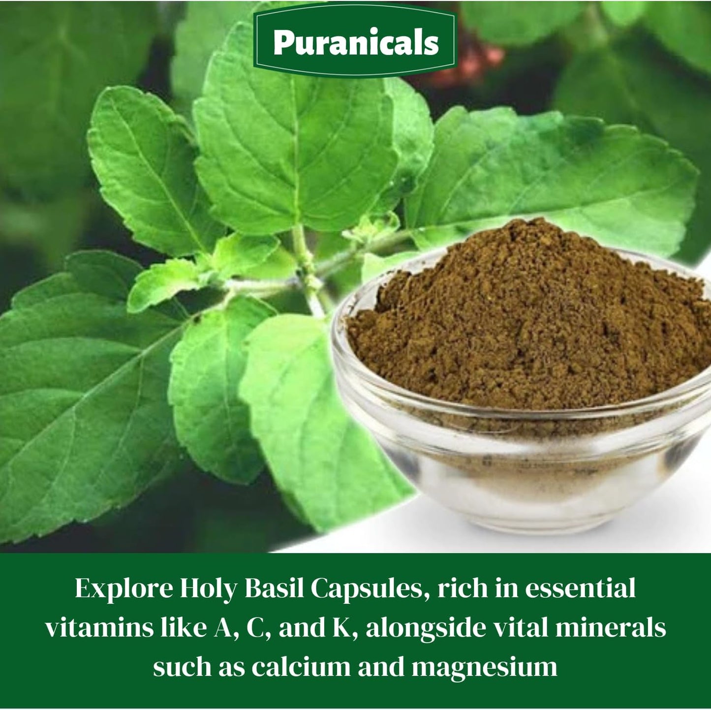 320 Capsules Puranicals Holy Basil Premium Supplement | Non GMO & Gluten Free | 600 mg Per Serving | Pure Herb Leaf