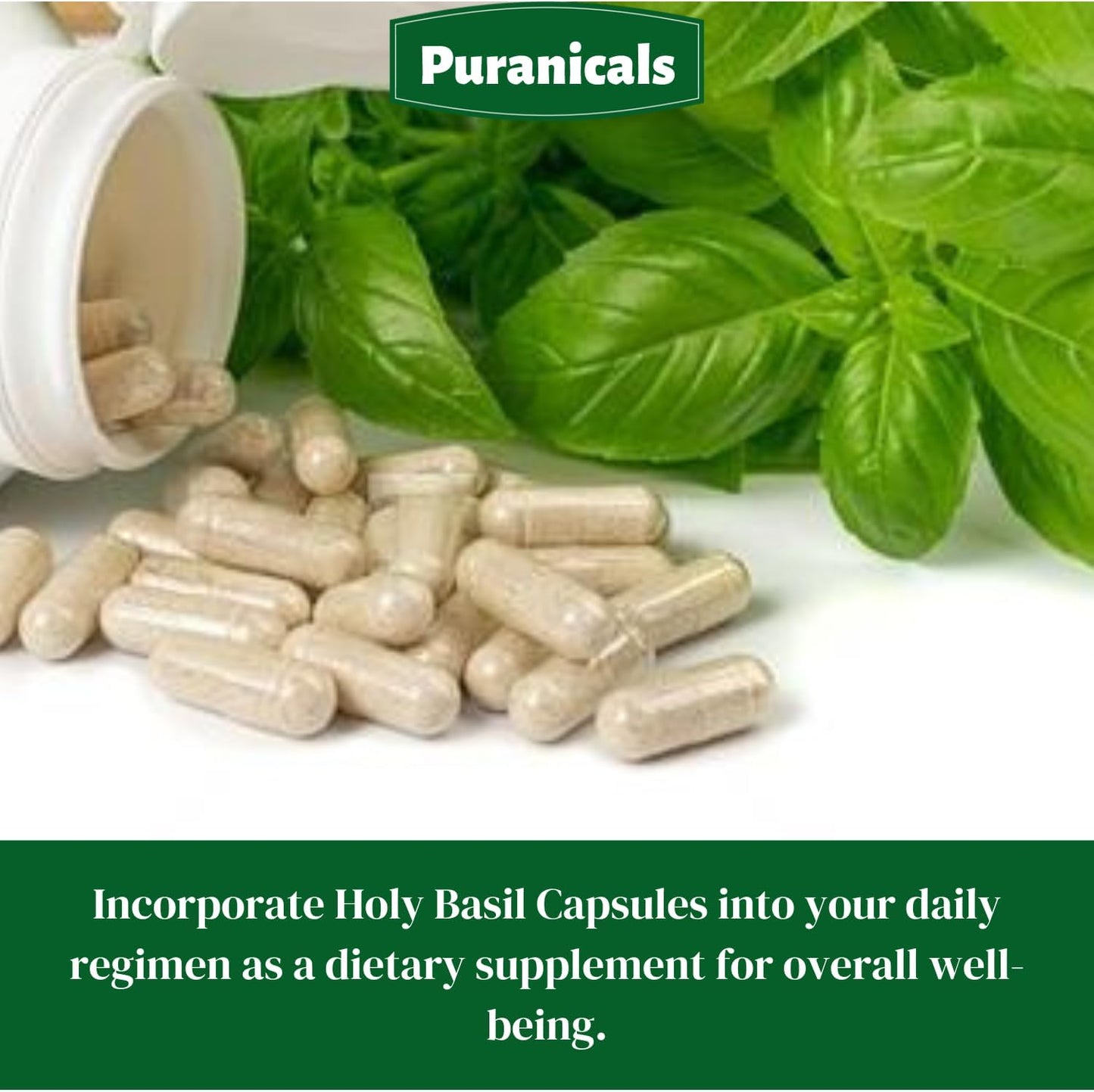 320 Capsules Puranicals Holy Basil Premium Supplement | Non GMO & Gluten Free | 600 mg Per Serving | Pure Herb Leaf