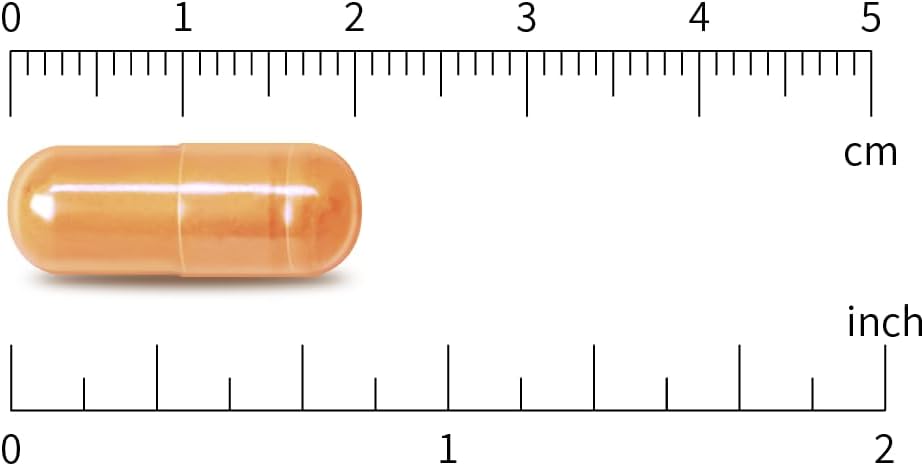 natural-boswellia-curcumin-extract-capsules---120-vegan-capsules-with-101-boswellia-extract-and-100mg-curcumin-3
