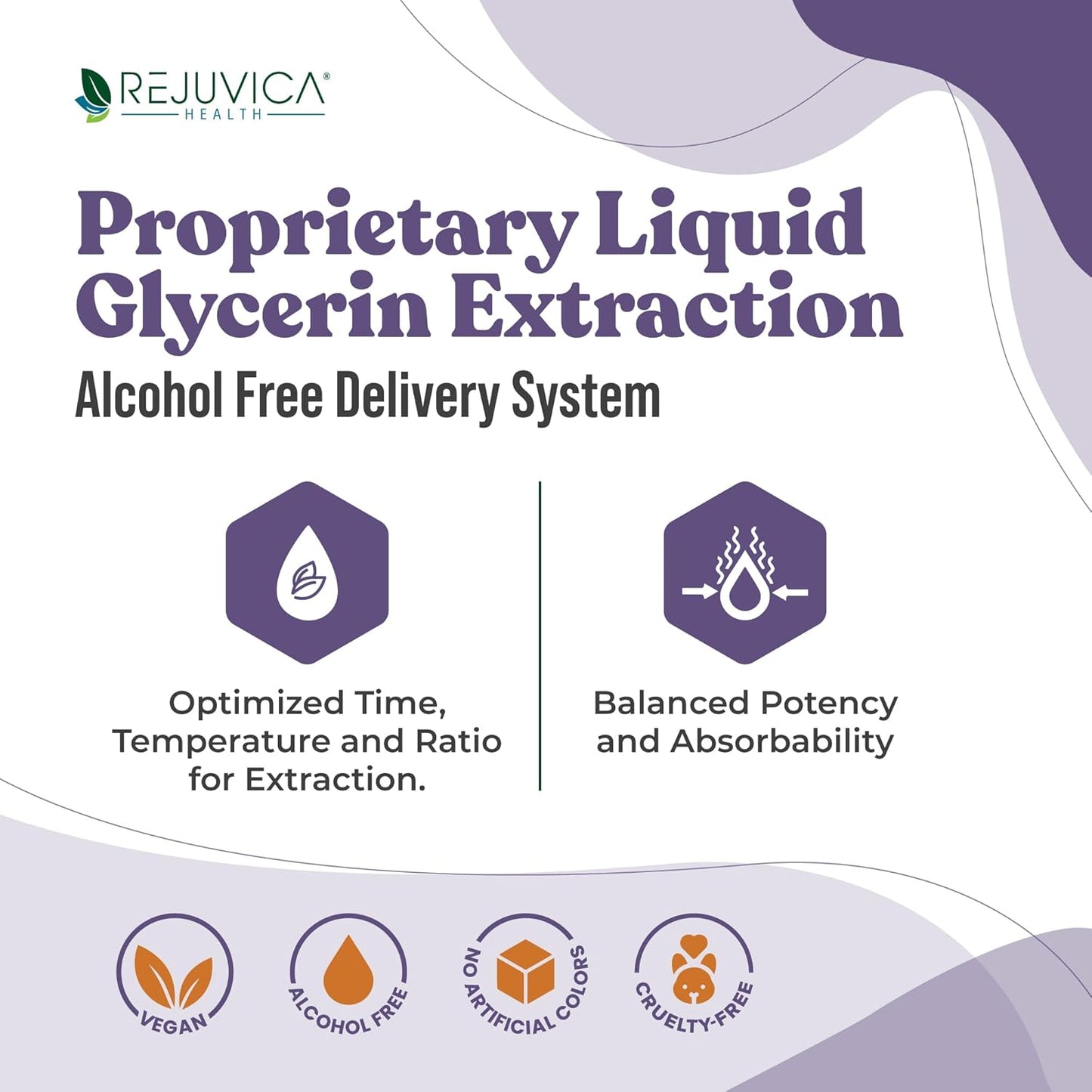 4oz Rejuvica Health Active Elderberry Liquid Extract - Advanced Formula for Better Absorption - Vegan, Sugar-Free, Non-GMO - Value Size