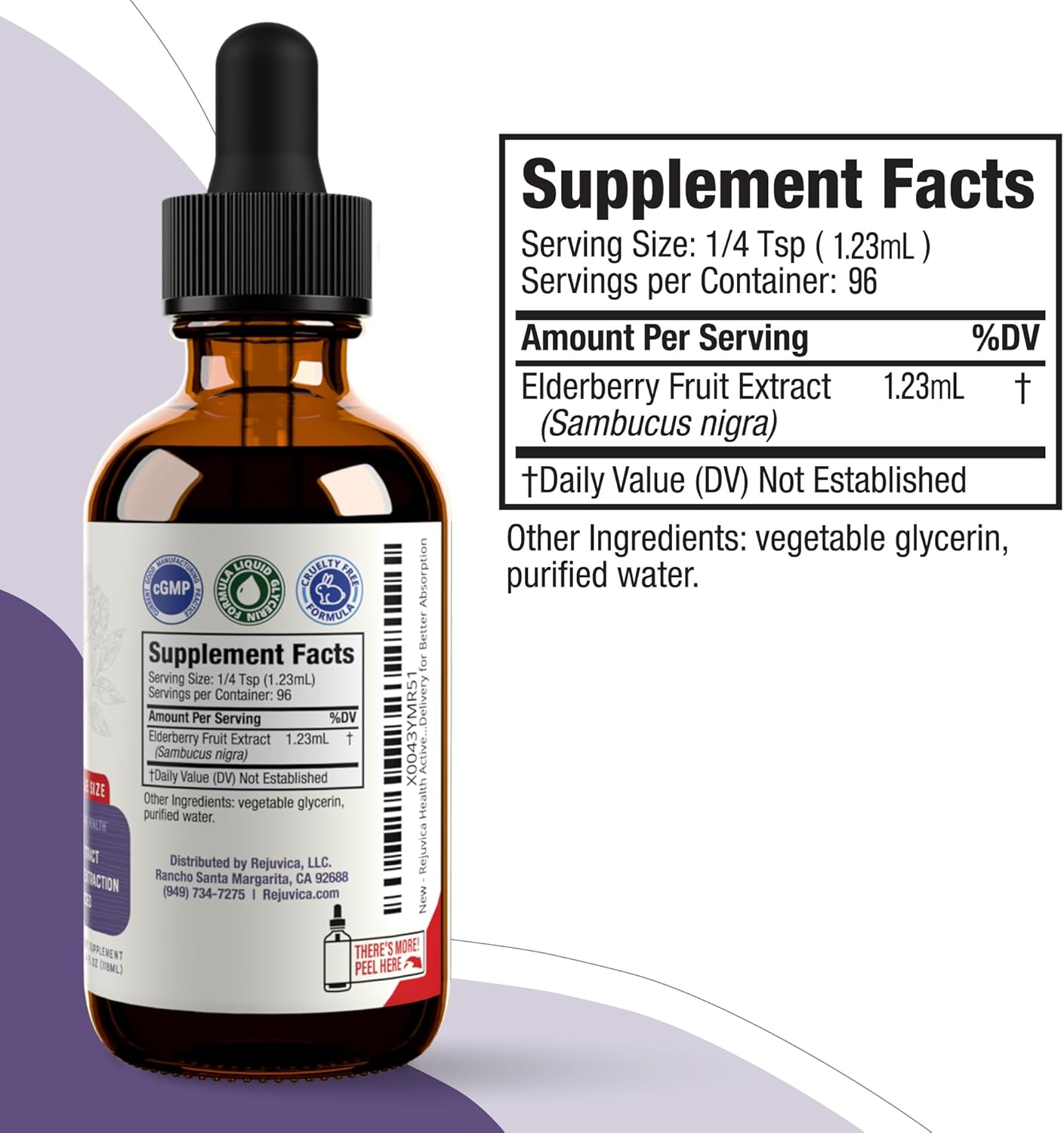 4oz Rejuvica Health Active Elderberry Liquid Extract - Advanced Formula for Better Absorption - Vegan, Sugar-Free, Non-GMO - Value Size