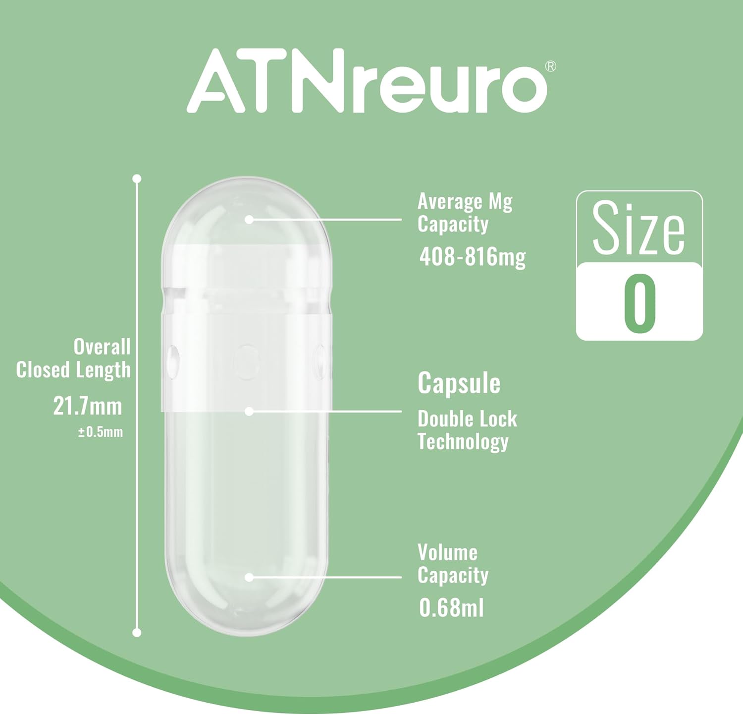 500 Count ATNreuro Size 0 Clear Gelatin Capsules with 2 Micro Spoons for Powders and Supplements