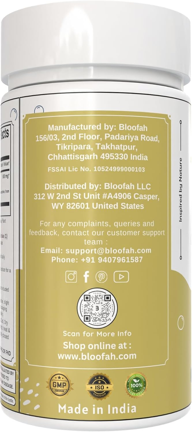 500mg Fennel Seed Capsules | 10:1 Concentrated Extract | Premium Herbal Supplement | Non-GMO, Gluten-Free | 60 Count Pack