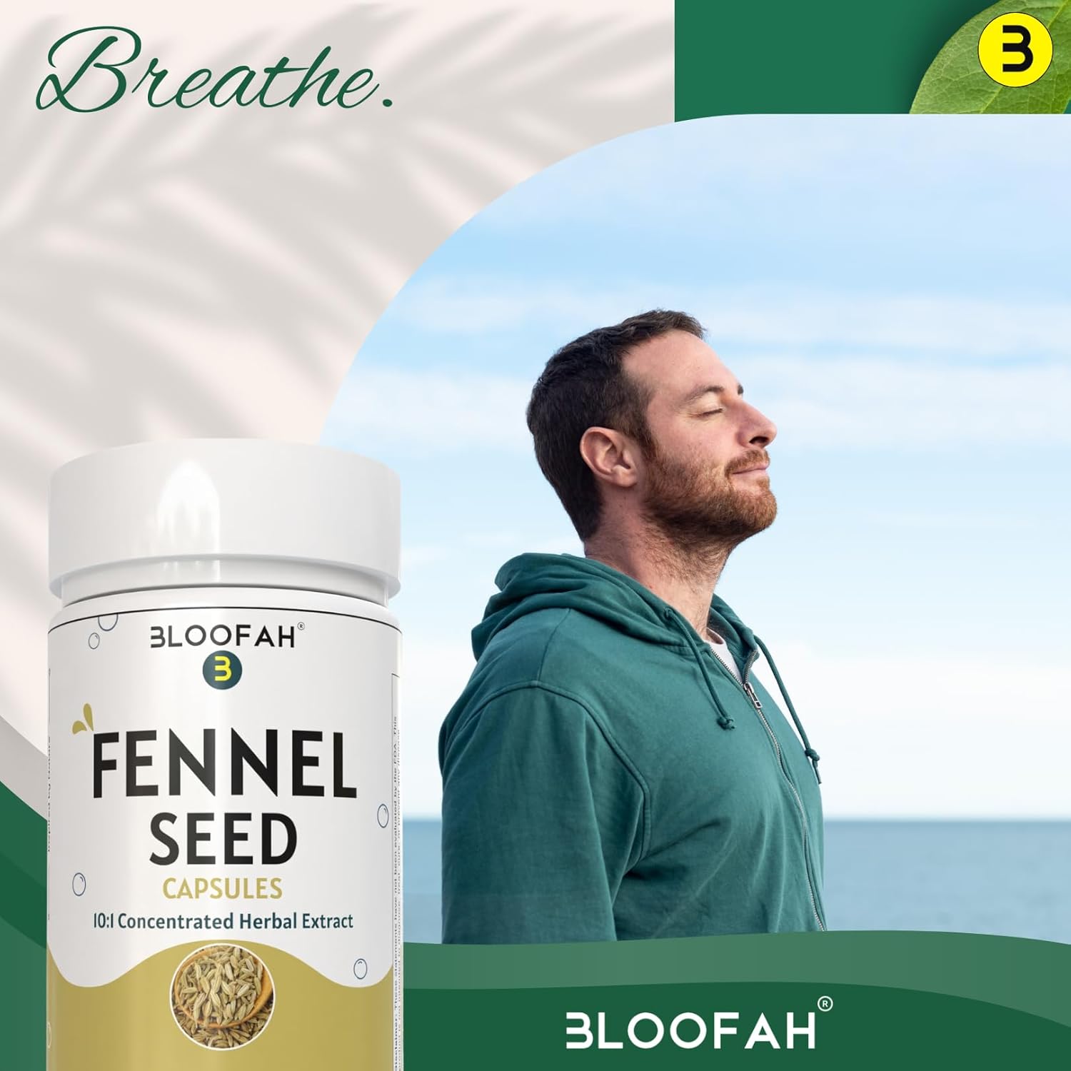 500mg Fennel Seed Capsules | 10:1 Concentrated Extract | Premium Herbal Supplement | Non-GMO, Gluten-Free | 60 Count Pack