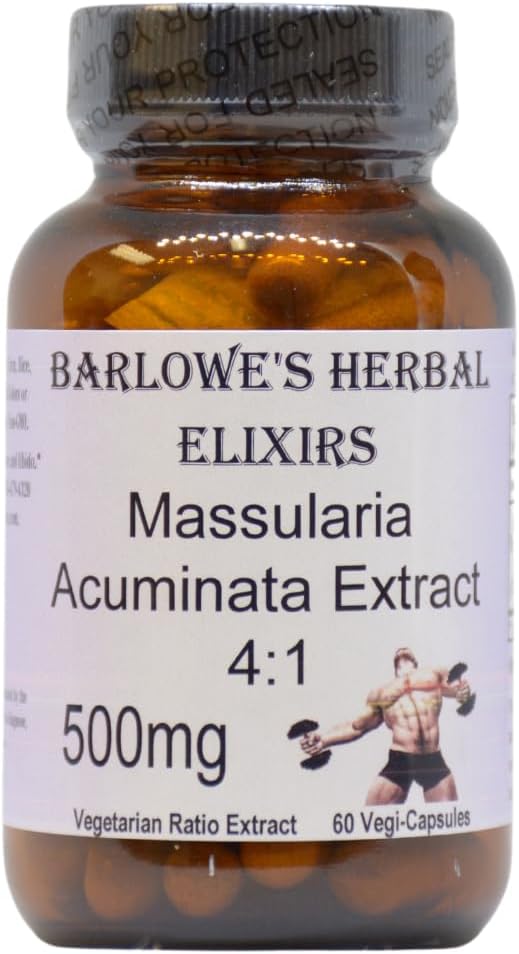 500mg Massularia Acuminata Extract Capsules for Vitality & Wellness | 4:1 Potent Herbal Supplement | 60 Veggie Capsules | Stearate-Free | Glass Bottled