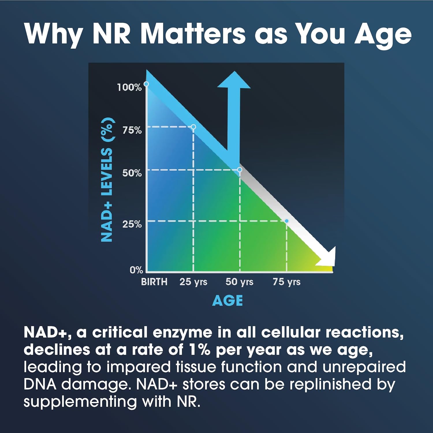 500mg Nicotinamide Riboside Pro Supplement with 250mg TMG. Boost NAD Levels. Patented NR Niagen Formula Backed by 300 Studies. 30 Servings (3 Pack).