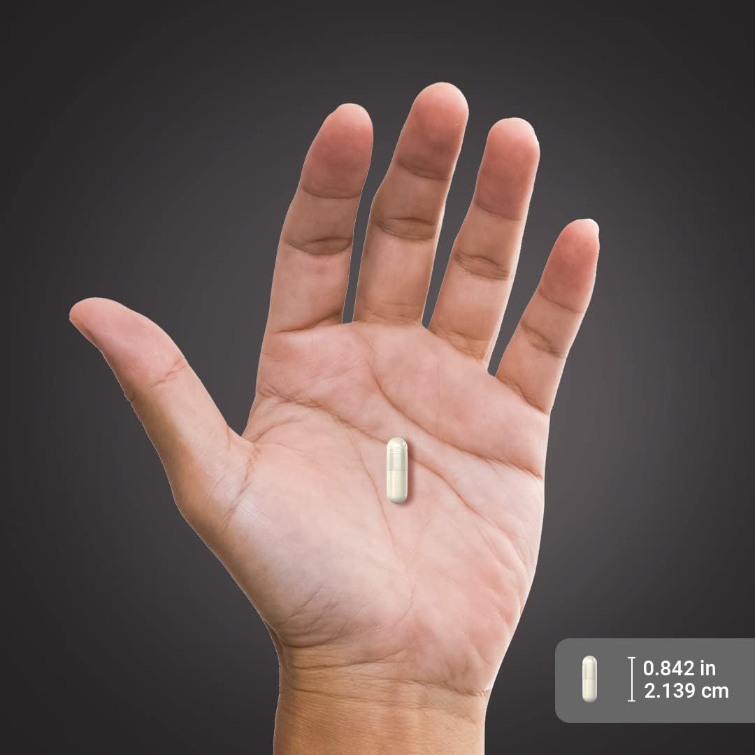 high-strength-l-glutamine-capsules-2000-mg-240-count-free-form-amino-acid-supplement-non-gmo-gluten-free-7