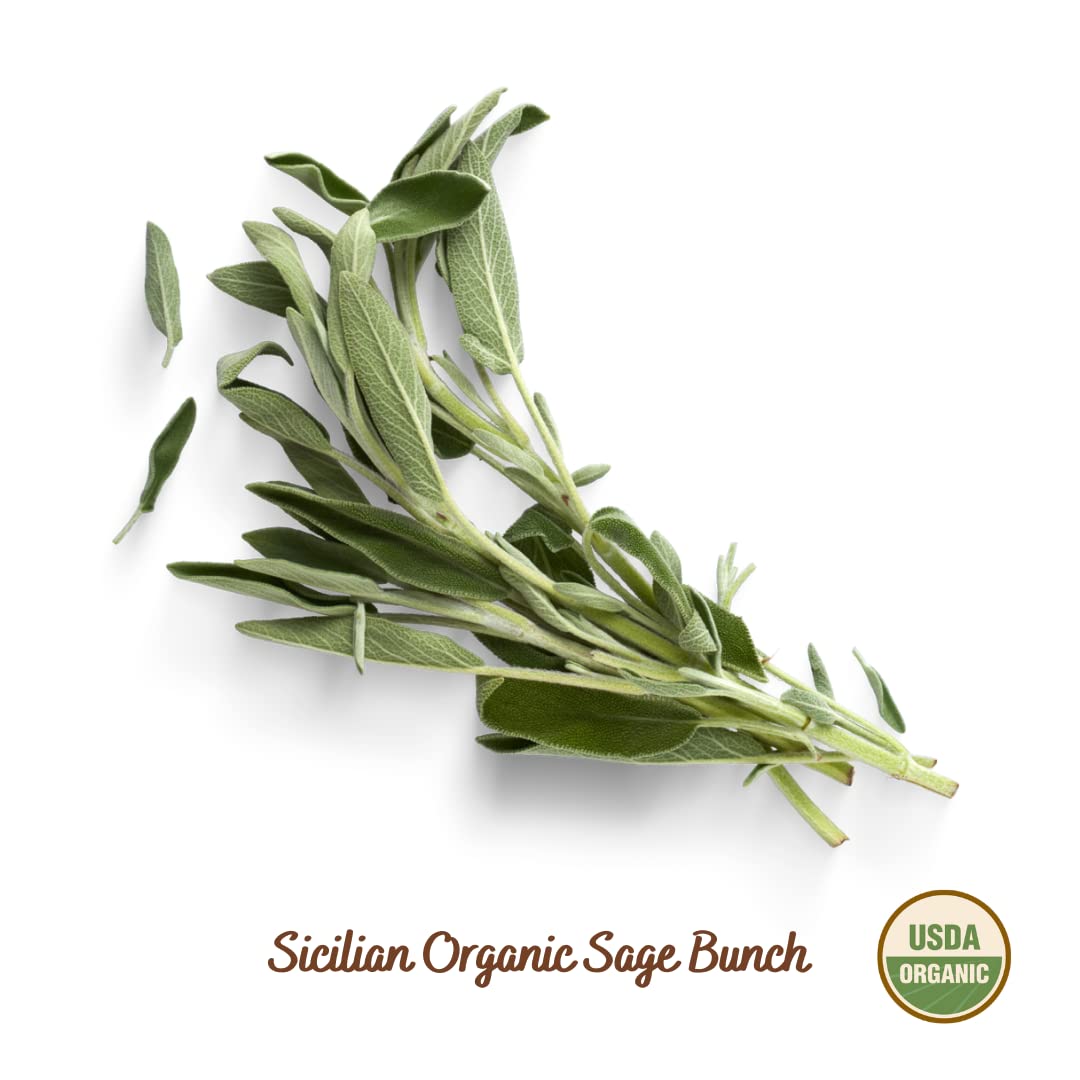 organic-sicilian-sage-flakes-in-shaker-20g-070-oz---usda-certified-dried-sage-herb-from-sicilys-mountains---filippone-sage-spice-4