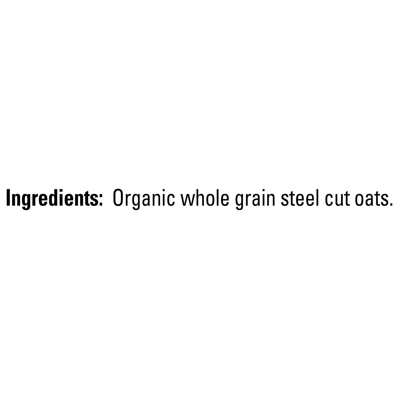organic-quaker-steel-cut-oats-non-gmo-20oz-resealable-bags-pack-of-4-6