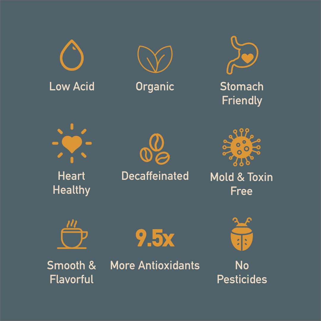 thompsons-healthy-bean-organic-decaf-coffee-medium-roast-low-acid-ground-coffee---11oz-usda-organic-mold-free-water-processed---sensitive-stomachs-friendly-7