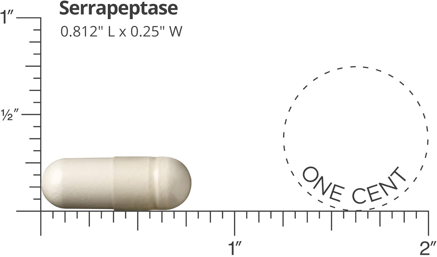 serrapeptase-120000-spu-vegan-capsules---daily-wellness-support-60-day-supply-3