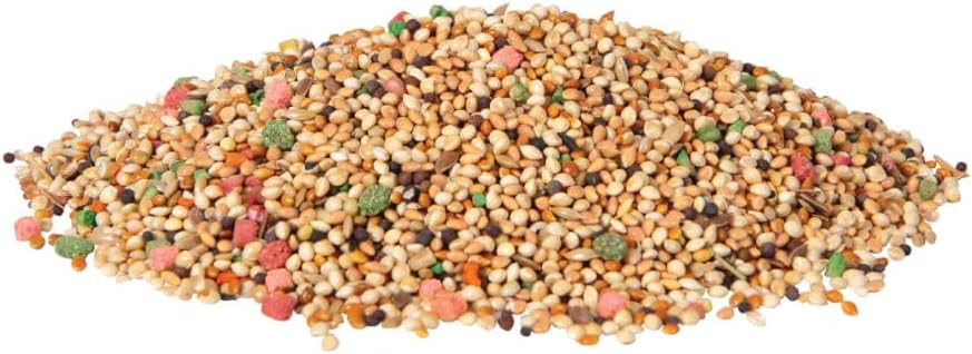 nutritious-daily-blend-for-parakeets-canaries-finches-small-birds---2-pounds-3