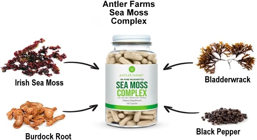 wildcrafted-sea-moss-black-seed-oil-bundle---100-pure-irish-moss-complex-turkish-nigella-sativa-seed-oil-by-antler-farms-6