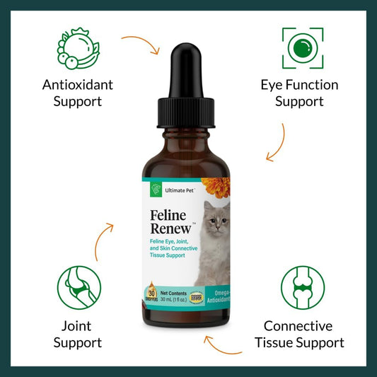 feline-renew-omega-3-supplement-for-cats---immune-joint-skin-support---30-servings-1