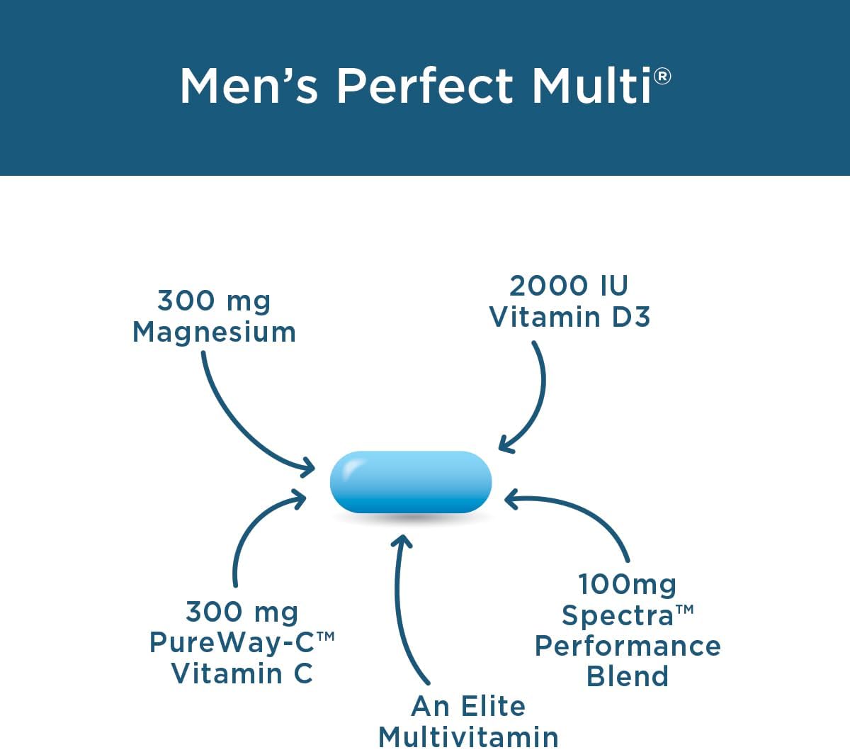 mens-perfect-multi-vitamins-minerals-and-phytonutrients-for-energy-and-vitality---easy-to-swallow-tablets---90-count-5