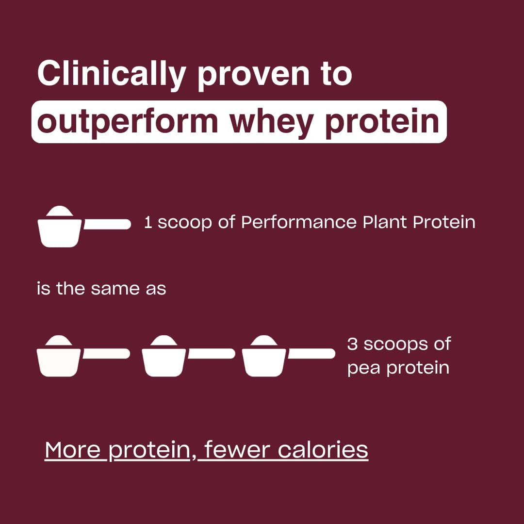 chocolate-performance-protein-and-msm-cellular-detox-bundle-for-human-improvement-2