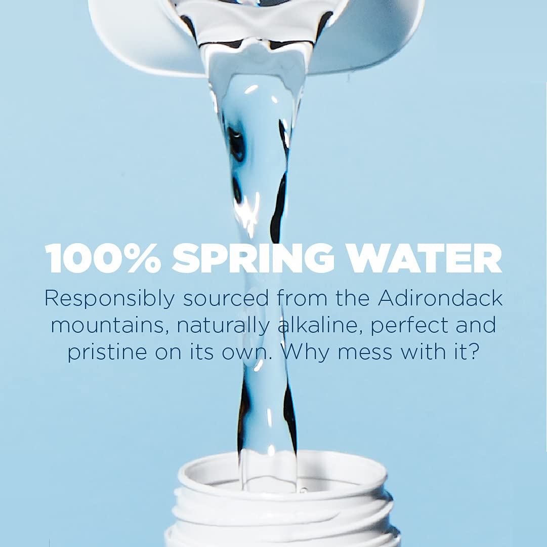 JUST Water Premium Pure Still Spring Water Eco-Friendly Plant-Based Bottle 8.0 pH 16.9 Fl Oz (Pack of 12) - Espot.com.au
